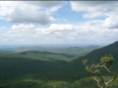 Mudumalai National Park