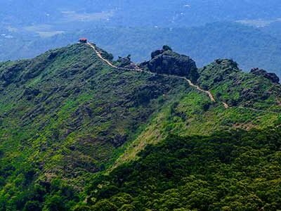 Needle Rock View Point